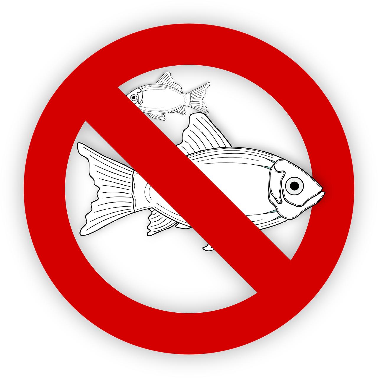 pixabay-995050-441.png